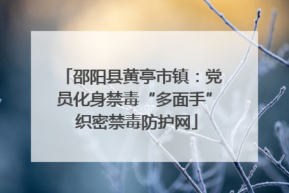 邵阳县黄亭市镇：党员化身禁毒“多面手” 织密禁毒防护网