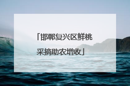邯郸复兴区鲜桃采摘助农增收