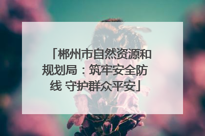 郴州市自然资源和规划局：筑牢安全防线 守护群众平安