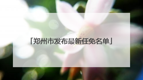 郑州市发布最新任免名单