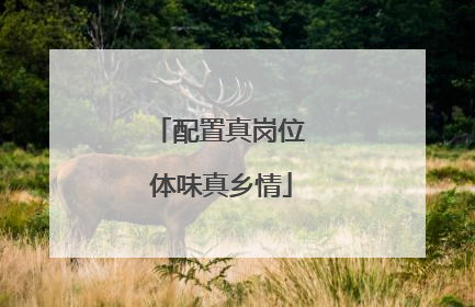 配置真岗位 体味真乡情