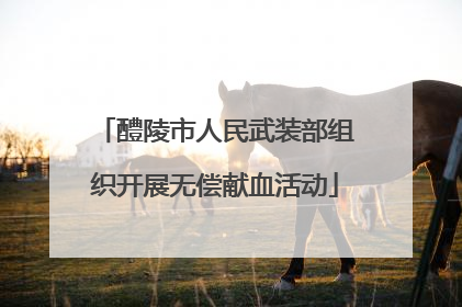 醴陵市人民武装部组织开展无偿献血活动