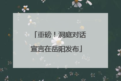 重磅！洞庭对话宣言在岳阳发布