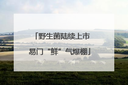 野生菌陆续上市 易门“鲜”气爆棚