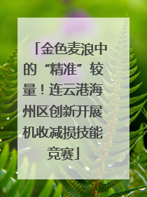 金色麦浪中的“精准”较量！连云港海州区创新开展机收减损技能竞赛