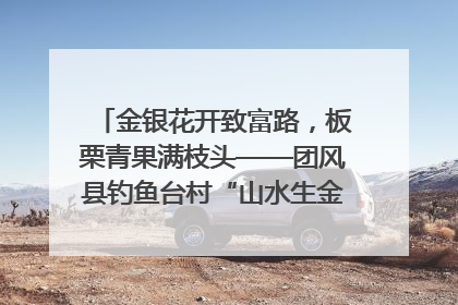 金银花开致富路，板栗青果满枝头——团风县钓鱼台村“山水生金”谱写共富新篇章