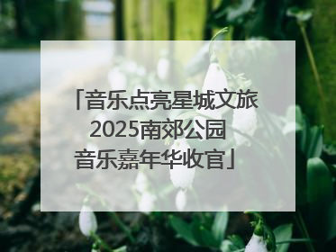 音乐点亮星城文旅 2025南郊公园音乐嘉年华收官
