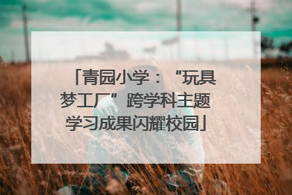 青园小学：“玩具梦工厂”跨学科主题学习成果闪耀校园