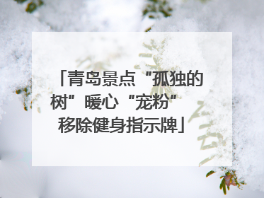 青岛景点“孤独的树”暖心“宠粉” 移除健身指示牌
