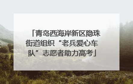 青岛西海岸新区隐珠街道组织“老兵爱心车队”志愿者助力高考
