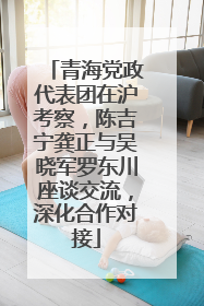 青海党政代表团在沪考察，陈吉宁龚正与吴晓军罗东川座谈交流，深化合作对接