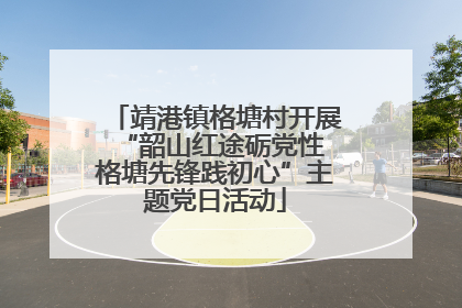 靖港镇格塘村开展“韶山红途砺党性 格塘先锋践初心”主题党日活动