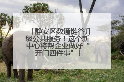 静安区数通链谷升级公共服务！这个新中心将帮企业做好“开门四件事”