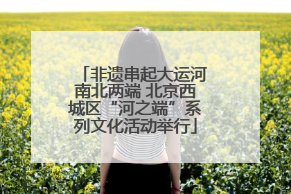 非遗串起大运河南北两端 北京西城区“河之端”系列文化活动举行