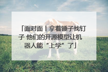 面对面丨拿着锤子找钉子 他们的开源模型让机器人能“上学”了