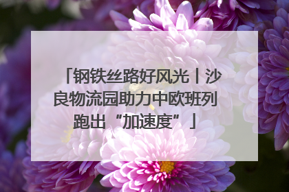 钢铁丝路好风光丨沙良物流园助力中欧班列跑出“加速度”