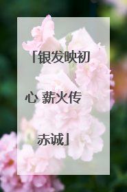 银发映初心 薪火传赤诚