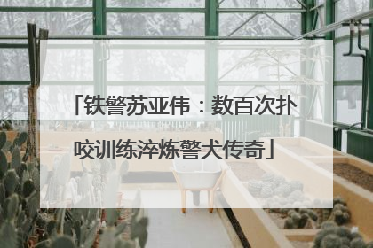 铁警苏亚伟：数百次扑咬训练淬炼警犬传奇