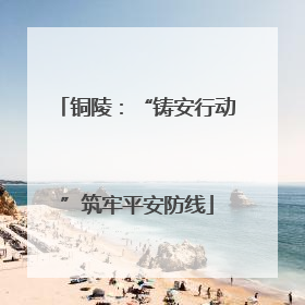 铜陵：“铸安行动”筑牢平安防线