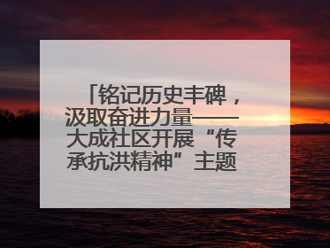 铭记历史丰碑，汲取奋进力量——大成社区开展“传承抗洪精神”主题党日活动
