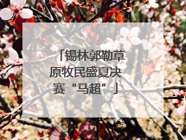 锡林郭勒草原牧民盛夏决赛“马超”