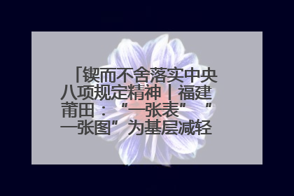 锲而不舍落实中央八项规定精神丨福建莆田：“一张表”“一张图”为基层减轻“数字负担”