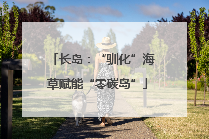 长岛：“驯化”海草赋能“零碳岛”