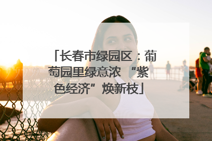 长春市绿园区：葡萄园里绿意浓 “紫色经济”焕新枝