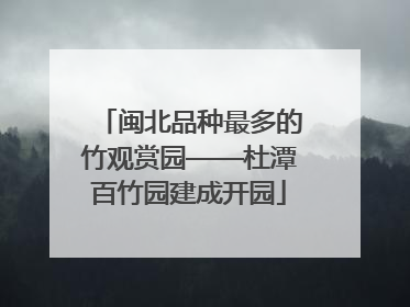 闽北品种最多的竹观赏园——杜潭百竹园建成开园