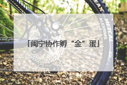 闽宁协作孵“金”蛋