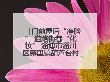 门前屋后“净脸” 道路街巷“化妆” 淄博市淄川区寨里镇葫芦台村的“美丽嬗变”