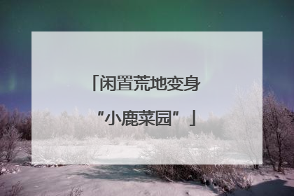 闲置荒地变身“小鹿菜园”