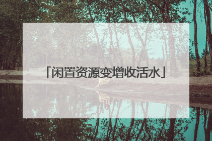 闲置资源变增收活水