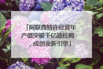 阿联酋特许经营年产值突破千亿迪拉姆,成创业新引擎