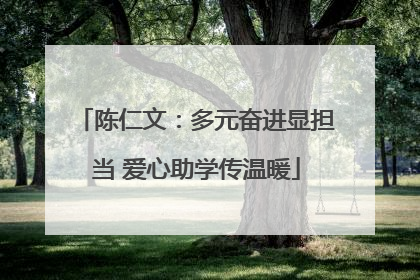 陈仁文：多元奋进显担当 爱心助学传温暖