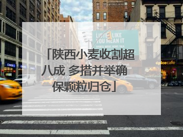 陕西小麦收割超八成 多措并举确保颗粒归仓