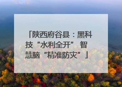 陕西府谷县：黑科技“水利全开” 智慧脑“精准防灾”