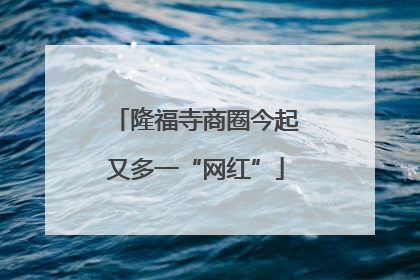隆福寺商圈今起又多一“网红”