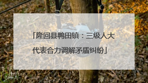 隆回县鸭田镇：三级人大代表合力调解矛盾纠纷