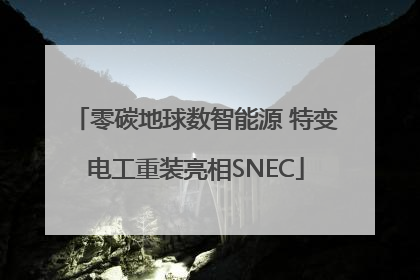 零碳地球数智能源 特变电工重装亮相SNEC