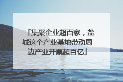 集聚企业超百家，盐城这个产业基地带动周边产业开票超百亿
