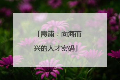 霞浦：向海而兴的人才密码