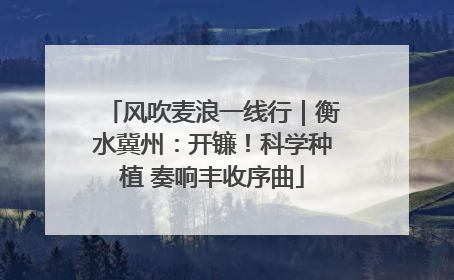 风吹麦浪一线行｜衡水冀州：开镰！科学种植 奏响丰收序曲