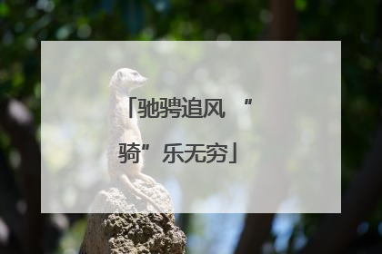 驰骋追风 “骑”乐无穷