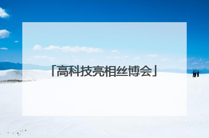 高科技亮相丝博会