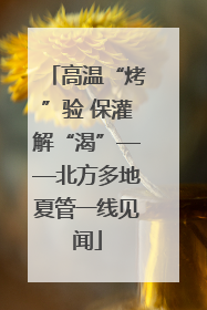 高温“烤”验 保灌解“渴”——北方多地夏管一线见闻