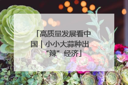 高质量发展看中国｜小小大蒜种出“辣”经济