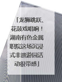 龙狮跳跃、花鼓戏唱响！湖南有色金属职院这场沉浸式非遗游园活动很带感