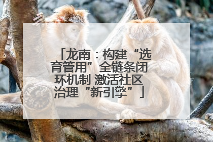 龙南：构建“选育管用”全链条闭环机制 激活社区治理“新引擎”