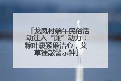 龙凤村端午民俗活动注入“廉”动力：粽叶裹紧廉洁心，艾草锤敲警示钟